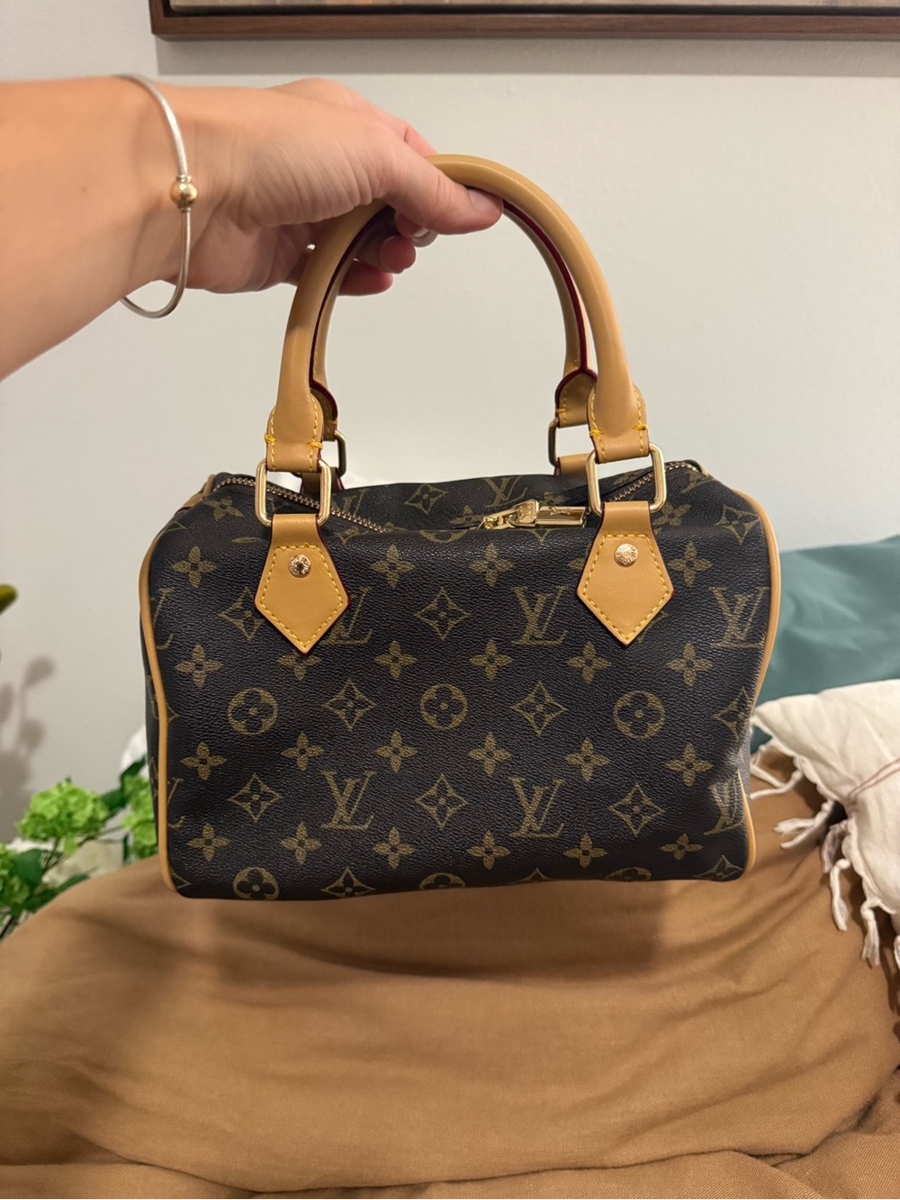 Louis Vuitton Monogram Speedy 25 Handbag in Brown